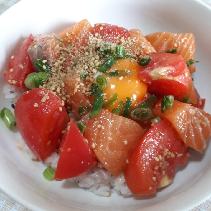 サーモンとトマトのカラフル漬け丼